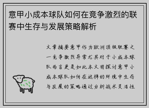 意甲小成本球队如何在竞争激烈的联赛中生存与发展策略解析
